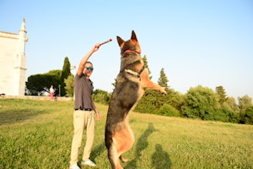 Tomás- petsitter Prague or Pet nanny for cats