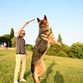 thumbnail petsitter Prague or pet nanny for cats