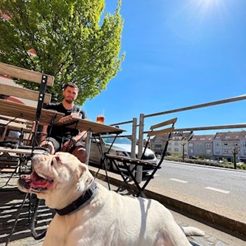 thumbnail petsitter Praha nebo páníček pro psi