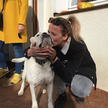 thumbnail petsitter Praha nebo páníček pro psi