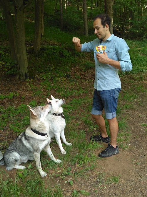 Kateřina- petsitter Brno nebo Páníček pro