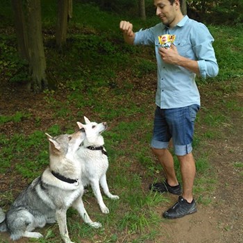 thumbnail petsitter Brno nebo páníček pro