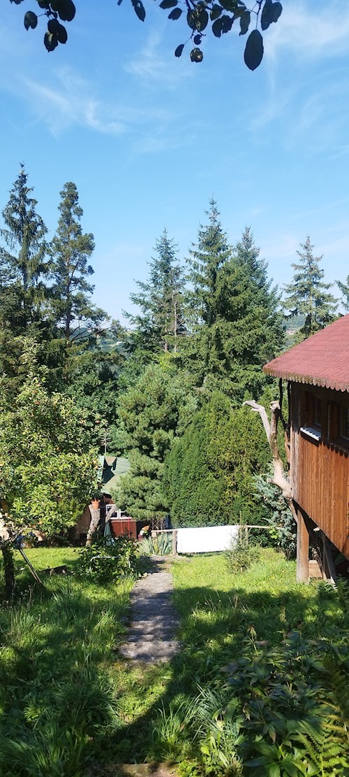 Lenka- petsitter Hradištko nebo Páníček pro