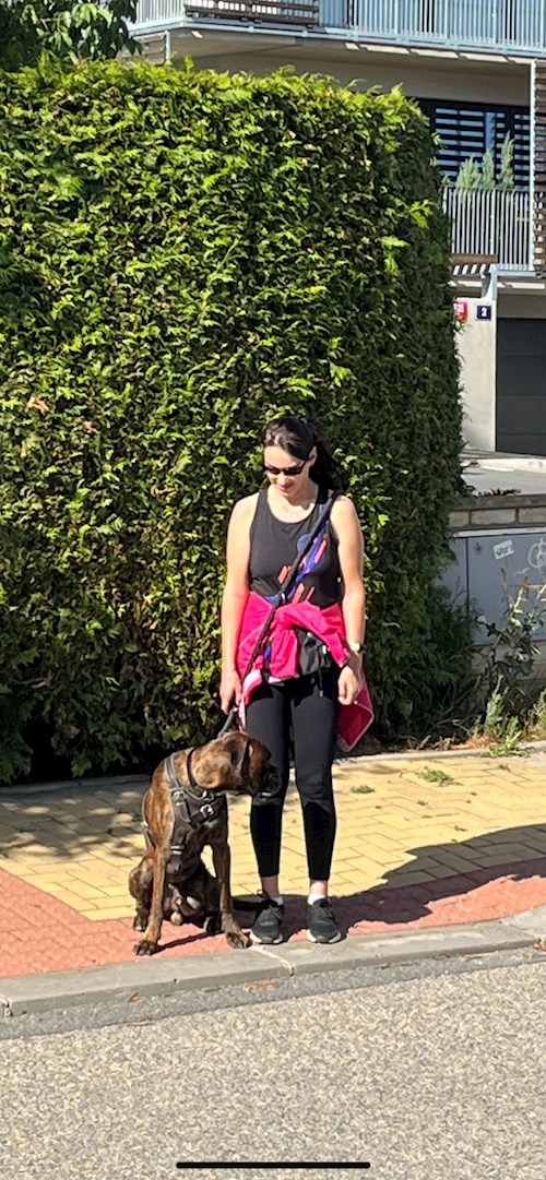 Sue- petsitter Prague nebo Páníček pro psi kočky