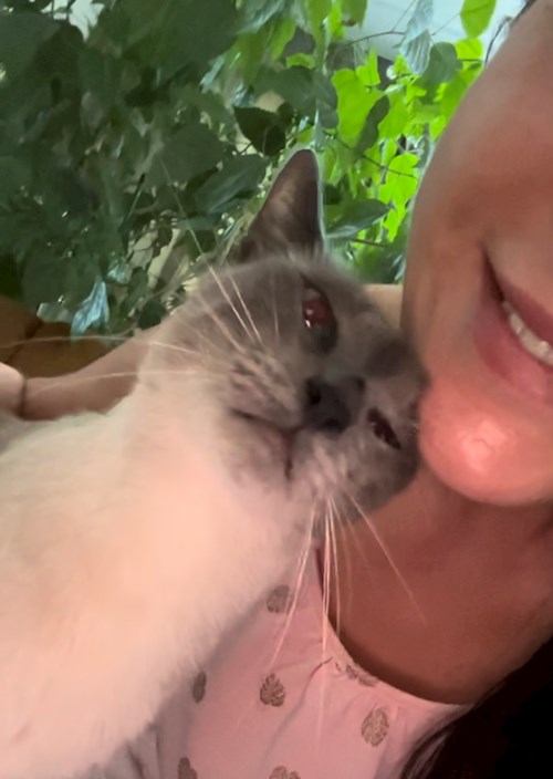 Sue- petsitter Prague nebo Páníček pro psi kočky