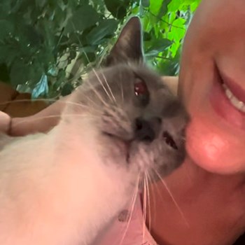 thumbnail petsitter Prague nebo páníček pro psi kočky