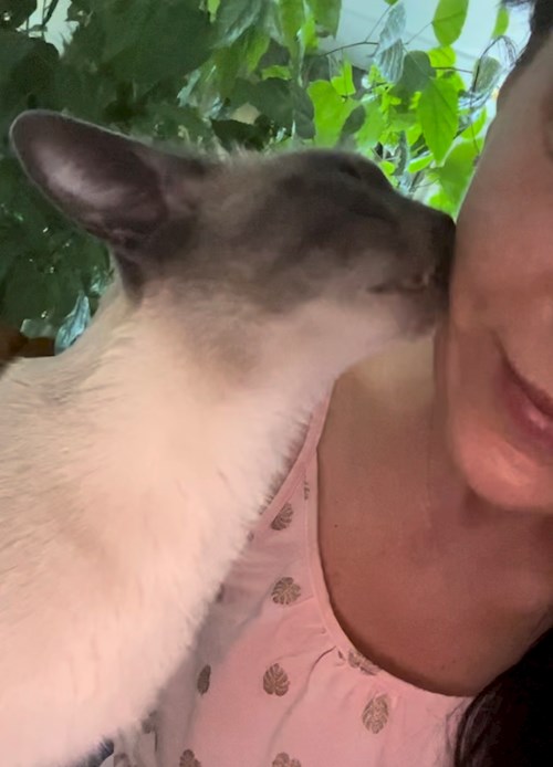 Sue- petsitter Prague nebo Páníček pro psi kočky