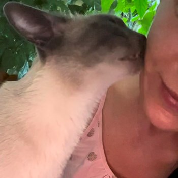 thumbnail petsitter Prague nebo páníček pro psi kočky