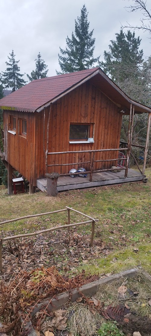 Lenka- petsitter Hradištko nebo Páníček pro