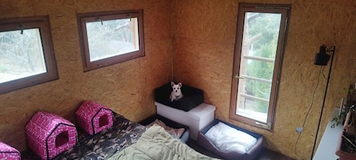 Lenka- petsitter Hradištko nebo Páníček pro