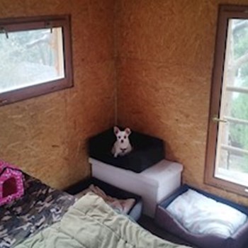 thumbnail petsitter Hradištko nebo páníček pro