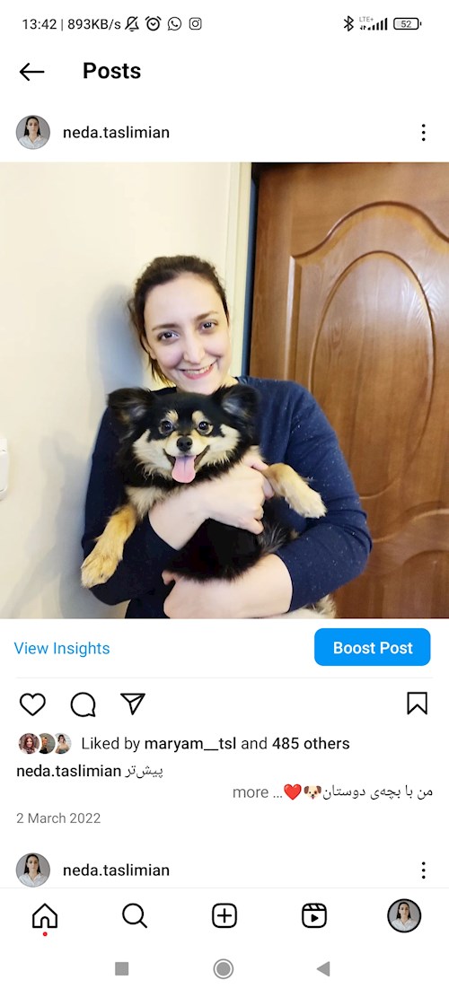 Neda- petsitter Praha nebo Páníček pro