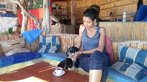 Faiza- petsitter Ostrava nebo Páníček pro psi kočky