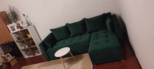 Pavlína- petsitter Brno nebo Páníček pro psi kočky