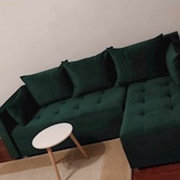 thumbnail petsitter Brno nebo páníček pro psi kočky