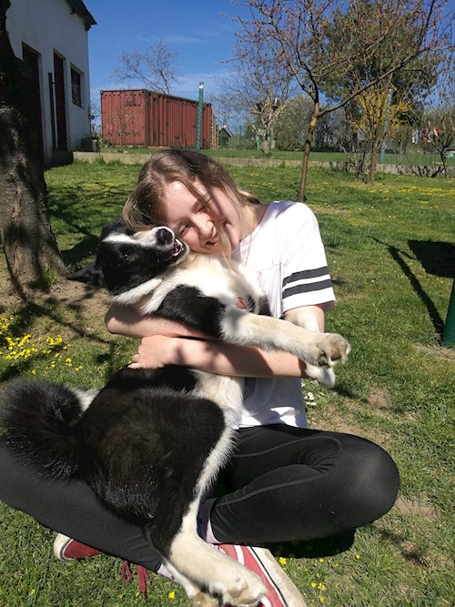 Aneta- petsitter Čeminy nebo Páníček pro psi kočky