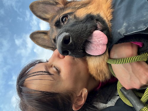 Sue- petsitter Prague nebo Páníček pro psi kočky