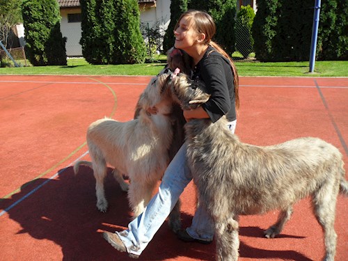 Karolína- petsitter Praha 6 or Pet nanny for dogs cats