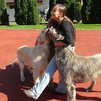 thumbnail petsitter Praha 6 or pet nanny for dogs cats