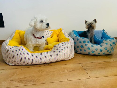 Alena- petsitter Praha or Pet nanny for