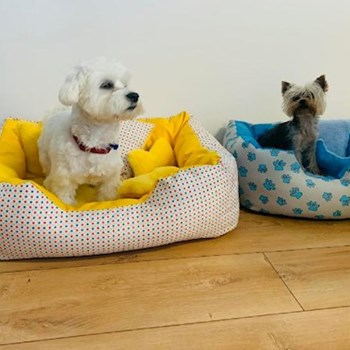 thumbnail petsitter Praha or pet nanny for