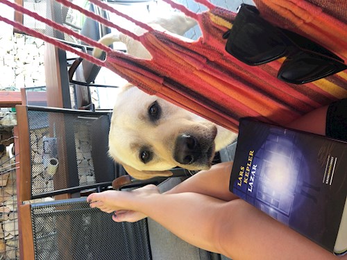 Lucie- petsitter Brno nebo Páníček pro psi