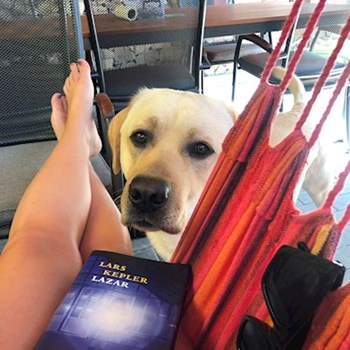 thumbnail petsitter Brno nebo páníček pro psi