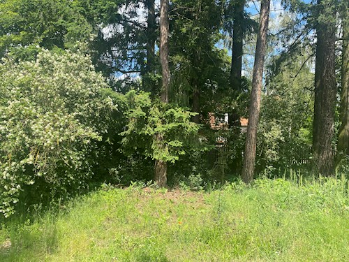 Petronela- petsitter Orlík nad Vltavou nebo Páníček pro psi kočky