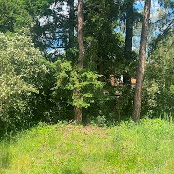 thumbnail petsitter Orlík nad Vltavou nebo páníček pro psi kočky