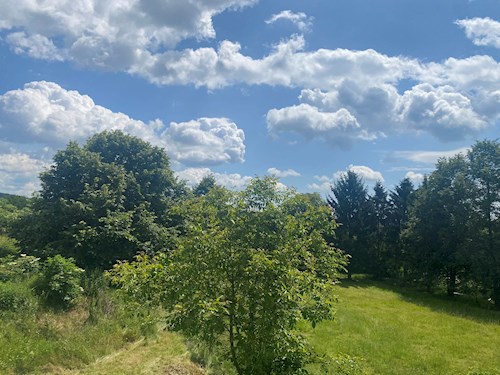 Petronela- petsitter Orlík nad Vltavou nebo Páníček pro psi kočky