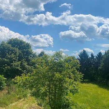 thumbnail petsitter Orlík nad Vltavou nebo páníček pro psi kočky