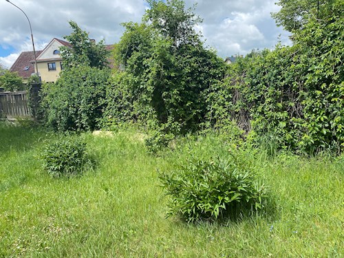 Petronela- petsitter Orlík nad Vltavou nebo Páníček pro psi kočky