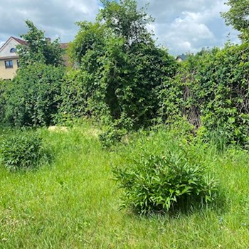 thumbnail petsitter Orlík nad Vltavou nebo páníček pro psi kočky