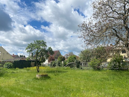 Petronela- petsitter Orlík nad Vltavou nebo Páníček pro psi kočky