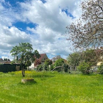 thumbnail petsitter Orlík nad Vltavou nebo páníček pro psi kočky