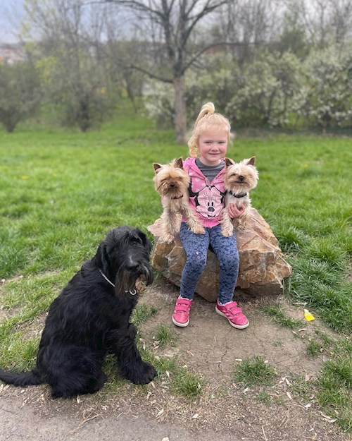 Eliška- petsitter praha 8 nebo Páníček pro psi kočky