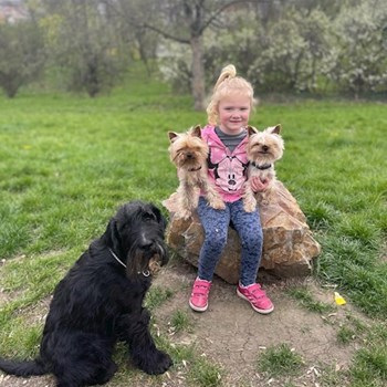 thumbnail petsitter praha 8 nebo páníček pro psi kočky