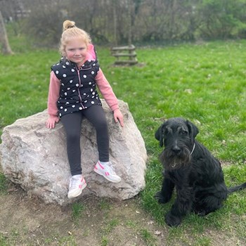 thumbnail petsitter praha 8 nebo páníček pro psi kočky