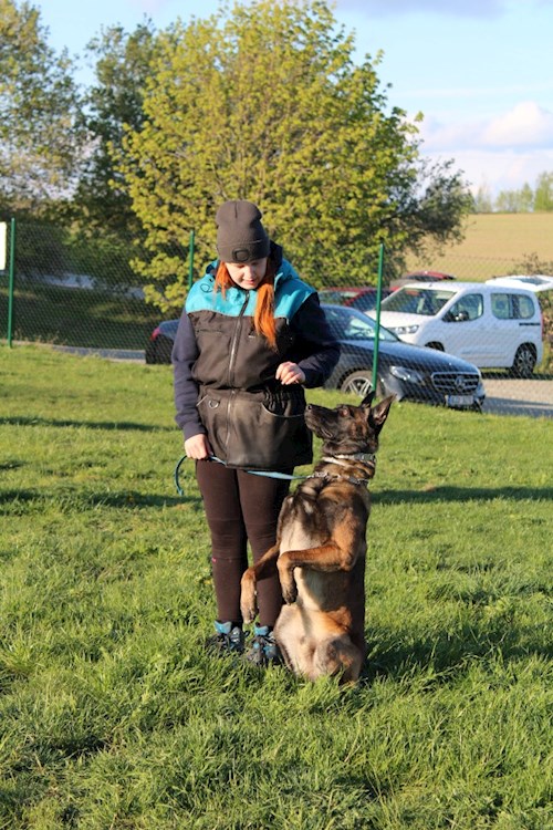 Julie- petsitter Horní Cerekev nebo Páníček pro psi kočky