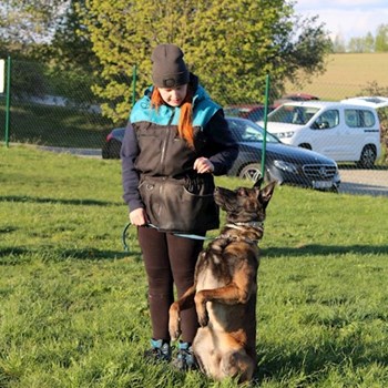 thumbnail petsitter Horní Cerekev nebo páníček pro psi kočky