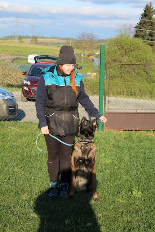 Julie- petsitter Horní Cerekev nebo Páníček pro psi kočky