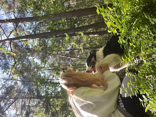 Barbora- petsitter Praha nebo Páníček pro psi kočky