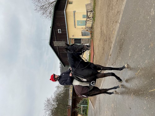 Barbora- petsitter Praha nebo Páníček pro psi kočky