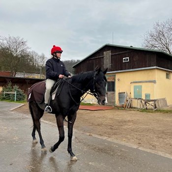 thumbnail petsitter Praha nebo páníček pro psi kočky