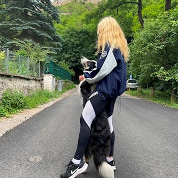 thumbnail petsitter Praha nebo páníček pro psi kočky