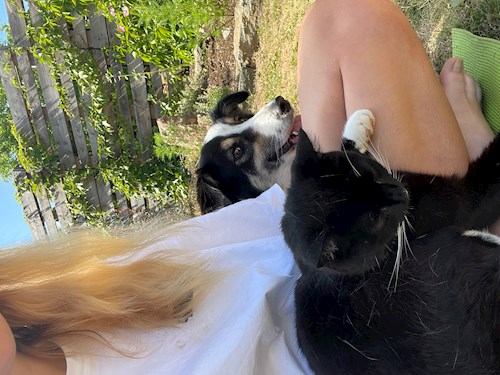 Barbora- petsitter Praha nebo Páníček pro psi kočky