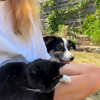 thumbnail petsitter Praha nebo páníček pro psi kočky