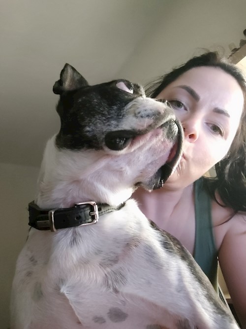 Alžběta- petsitter Praha 6 nebo Páníček pro