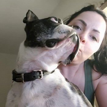 thumbnail petsitter Praha 6 nebo páníček pro