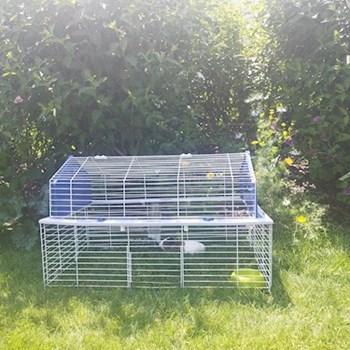 thumbnail petsitter Brandýs nad Labem-Stará Boleslav or pet nanny for dogs cats